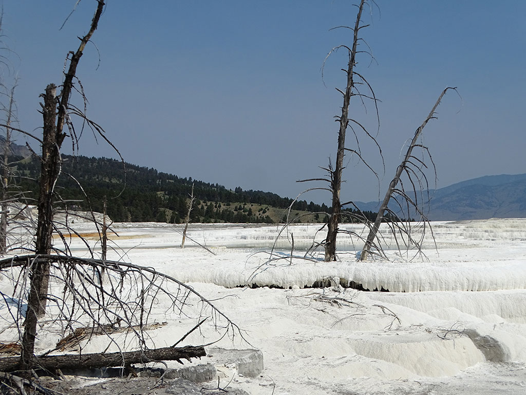 Jour-13---Yellowstone-jour-3-(44)