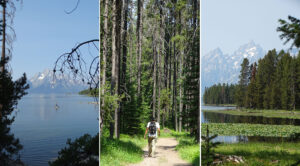 Jour 10 – Le parc de Grand Teton entre rando et baignade