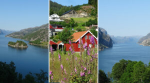 Norvège, jour 5 – Des forêts enchantées aux portes du Lysefjord